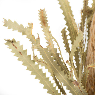 Natural Banksia Flower Stem 12"