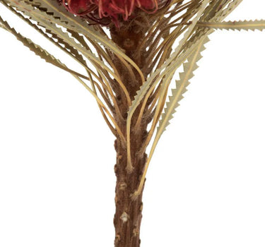 Vickerman Red Banksia Flower Stem 12" - Uncategorized Silk