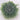 Le Fleur Eucalyptus Half-Ball Green 11" - Artificial Non-Flowering Plants Silk