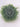 Le Fleur Eucalyptus Half-Ball Green 11" - Artificial Non-Flowering Plants Silk