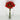 Le Fleur Rose Bundle Orange 12" - Uncategorized Silk