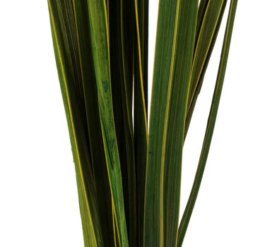 Vickerman Basil Snake Grass 18-30" - Silk