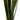 Vickerman Basil Snake Grass 18-30" - Silk