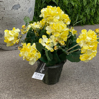 Geraniums in Mache Yellow x2