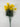 Fortune Mini Pompom Bush Yellow 19” - Silk