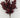 Le Fleur Tea Leaf Bush Red 16" - Artificial Non-Flowering Plants Silk