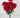 Fortune Carnation Bush Red 18” - Silk