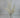 Le Fleur Asparagus Bush Cream 25" - Artificial Non-Flowering Plants Silk