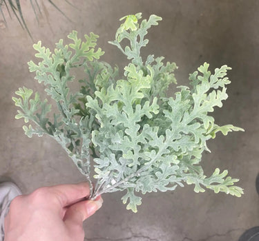 Le Fleur Frosted Dusty Miller Bush 10" - Silk
