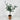 Melrose Olive Topiary in Pot - Silk