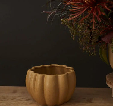 Spiced Pumpkin Pot 5.75" x 4.25"