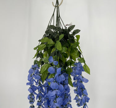Wisteria Hanging Bush Periwinke