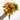 Le Fleur Rose Bundle Yellow 12" - Uncategorized Silk