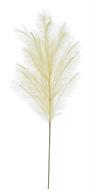Bushy Pampas Grass Spray 43" Beige