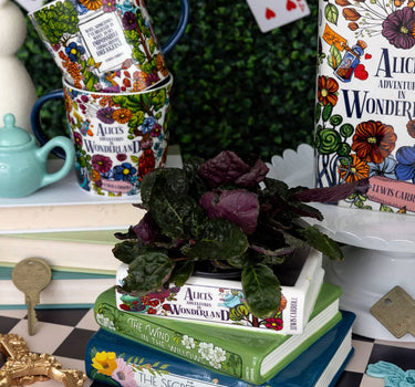 Alice/Wind in the Willows/The Secret Stacked Books Planter