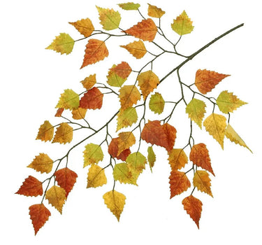 Greenhouse International Birch Spray Autumn Colors 27" - Uncategorized Silk