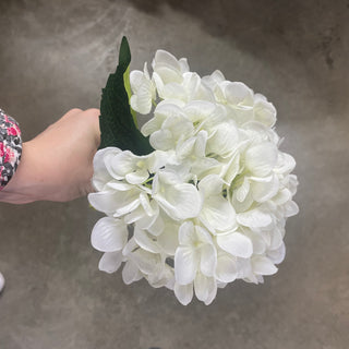 Hydrangea 18" White