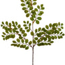 Greenhouse International Button Leaf Spray 28"L - Silk