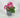 Direct Export Geranium in Pot Pink 10” - Silk