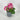 Direct Export Geranium in Pot Pink 10” - Silk