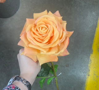 Open Rose Stem Peach 10" x 7" x 27"