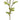 Select Ranunculus with Bud Spray Mustard 26" - Artificial Flowering Plants Silk