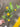 AmBest Lemon Spray Yellow 40" - Artificial Non-Flowering Plants Silk