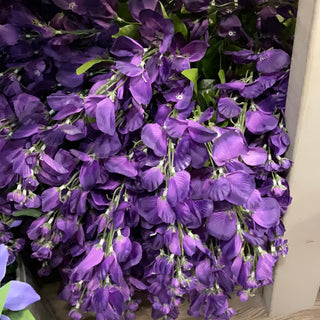 Wisteria Purple Hanging Basket