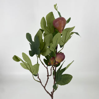 Fig Spray 30.5"