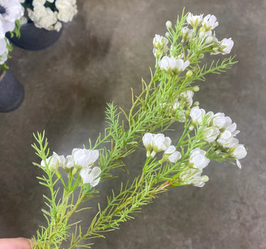 Supreme Wax Flower Spray White 32" - Uncategorized Silk