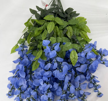 Wisteria Hanging Bush Periwinke
