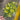 Le Fleur Mini Lily Bush 21" Yellow - Uncategorized Silk