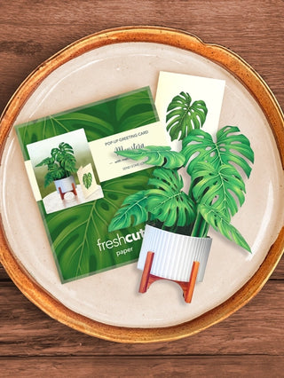 Mini Monstera Pop-Up Greeting Card