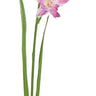 Select Cattleya Orchid Spray Beauty 28" - Uncategorized Silk