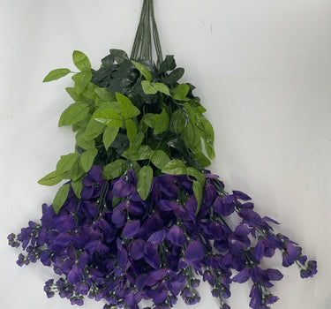 Wisteria Hanging Bush Purple