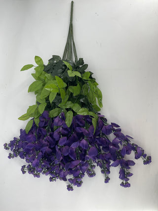 Wisteria Purple Hanging Bush x15