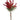 Select Mimosa Bundle x3 Red 15" - Artificial Flowering Plants Silk