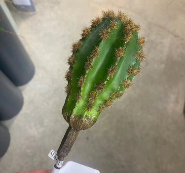 Supreme Cactus Pick 10" - Artificial Non-Flowering Plants Silk
