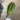 Supreme Cactus Pick 10" - Artificial Non-Flowering Plants Silk