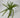 Supreme Air Grass Plant Green - Uncategorized Silk