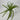 Supreme Air Grass Plant Green - Uncategorized Silk