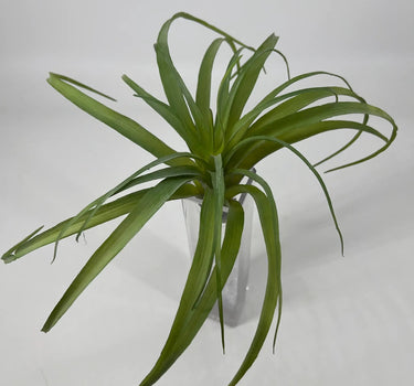 Supreme Air Grass Plant Green - Uncategorized Silk