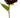 Real Touch Sunflower with Bud Rust 23"