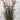 Le Fleur Wild Flower Onion Grass in Pot 24" - Artificial Flora Silk