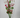 Fortune Curly Branch w/ Daisy Pink - Artificial Flowering Plants Silk