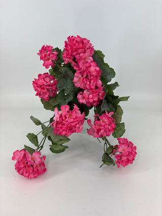 Geranium Hanging Bush UV Pink 22"