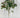Select Holly Pick Green/Cream 10" - Artificial Non-Flowering Plants Silk