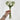 Le Fleur Rose Bundle White 12" - Uncategorized Silk