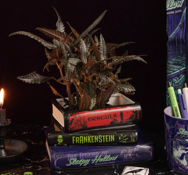 Sleepy Hollow Stacked Book Planter