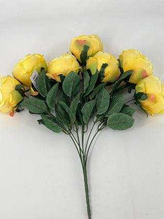 Rose Bush x7 Yellow